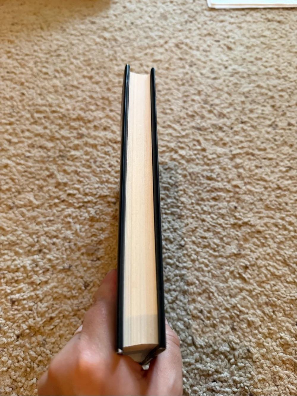 Stay Sexy & Don't Get Murdered by Karen Kilgariff & Georgia Hardstark-Hardcover